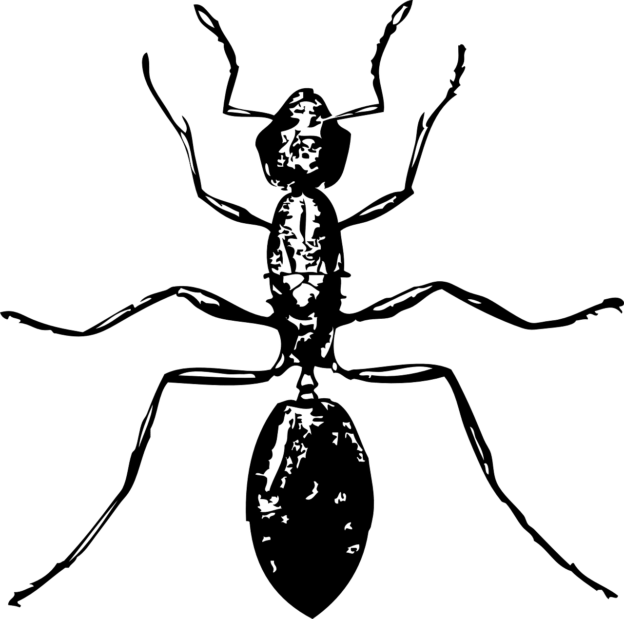נמלה